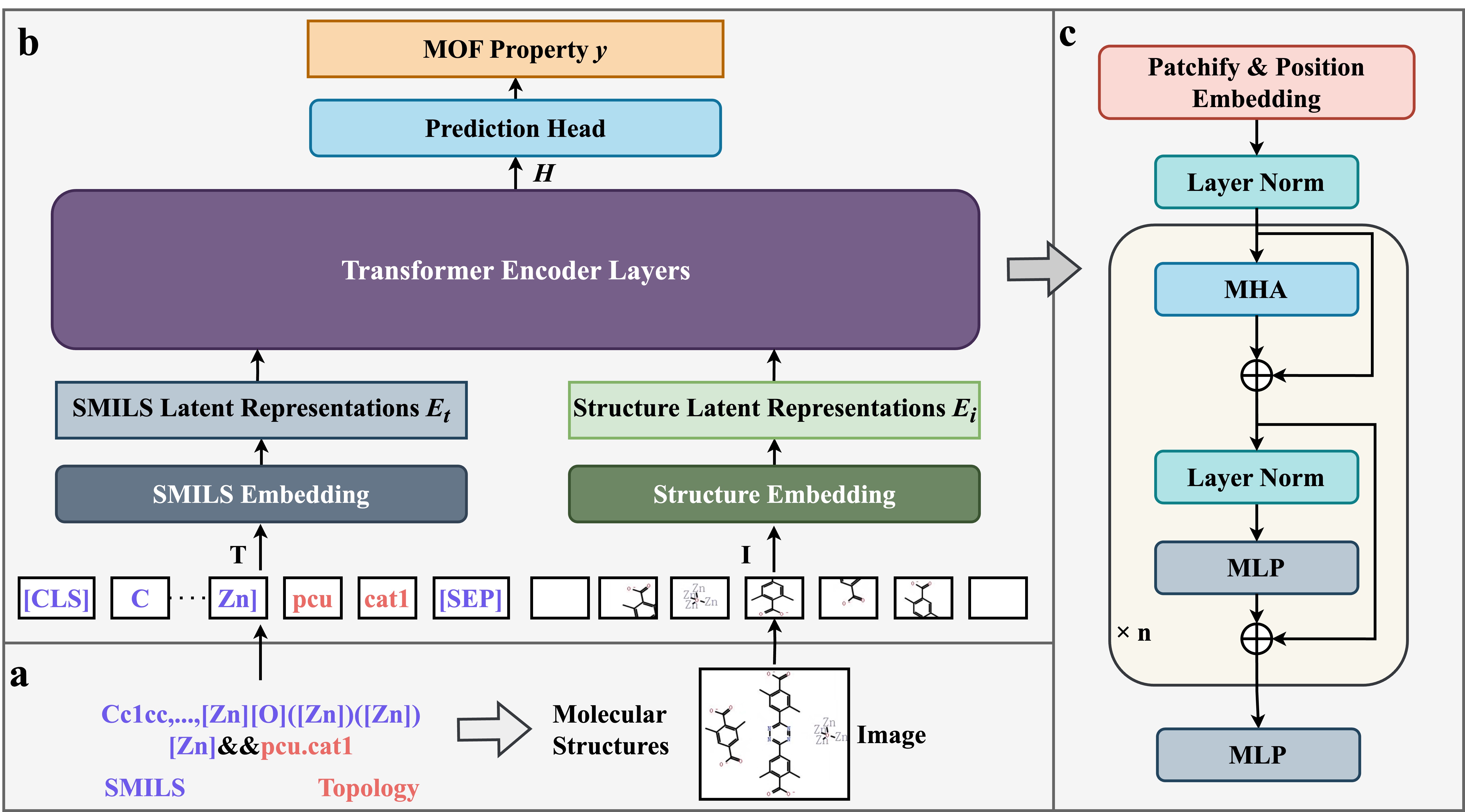 Schematic diagram of the proposed M-MOFormer